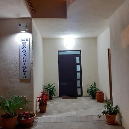 La Conchiglia Bed And Breakfast San Nicola Arcella Zewnętrze zdjęcie