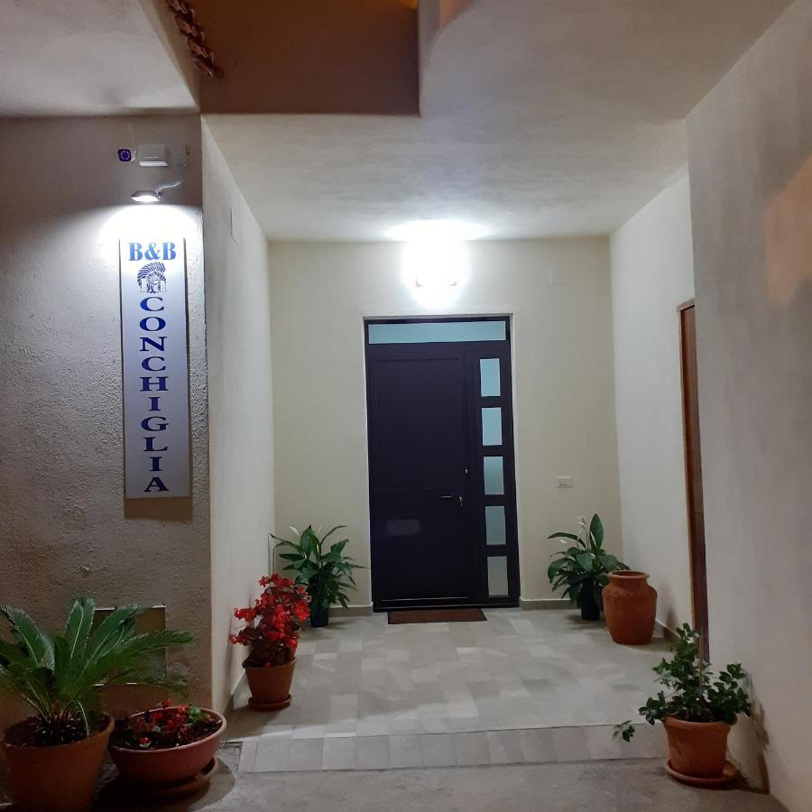 La Conchiglia Bed And Breakfast San Nicola Arcella Zewnętrze zdjęcie